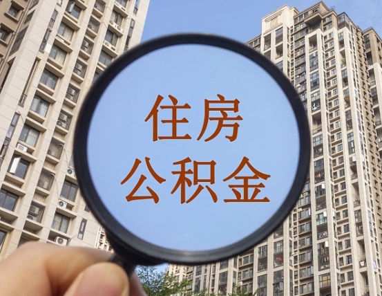 查询公积金-东至公积金代办平台